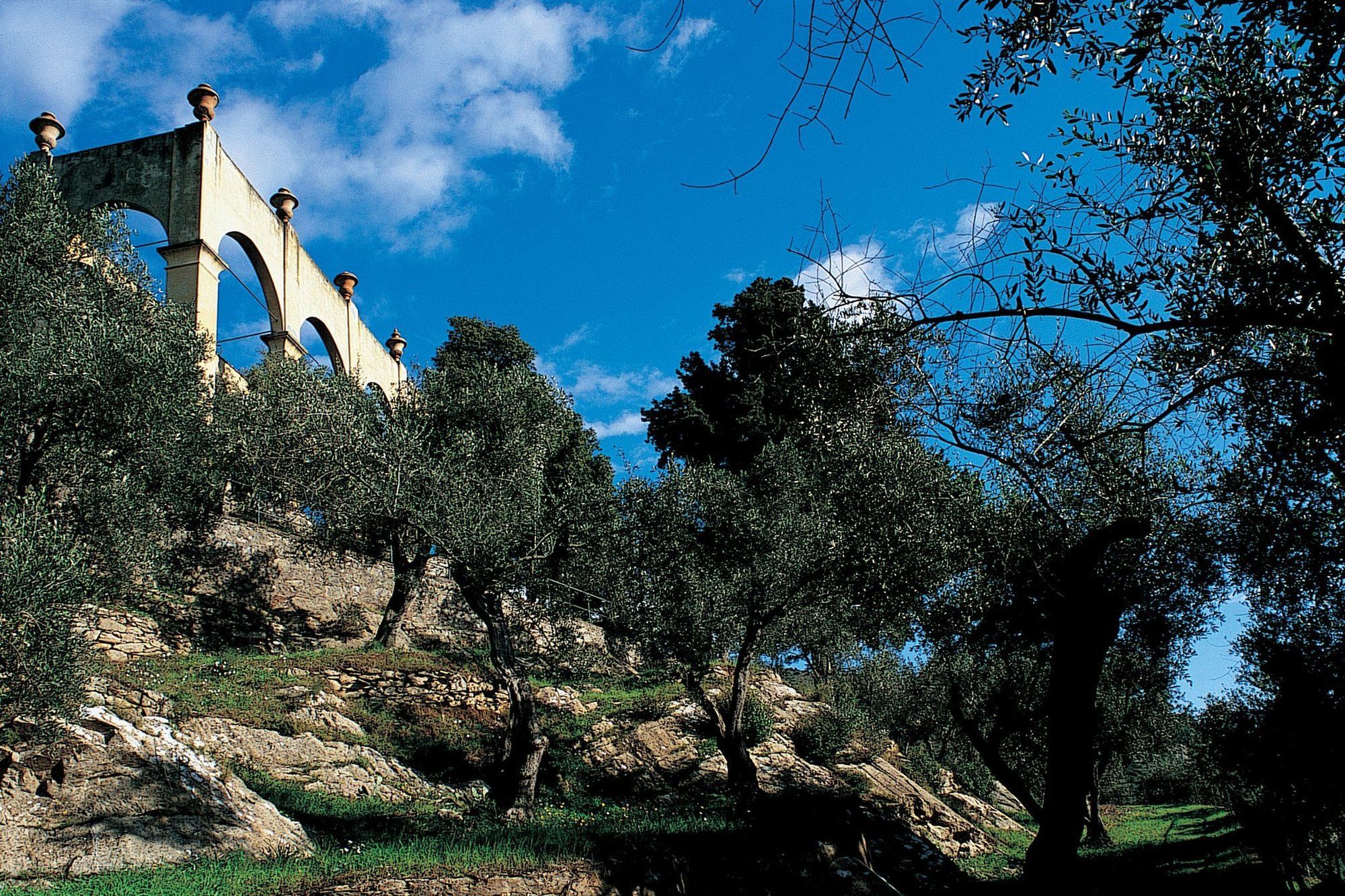 바그니 디 피사 팰리스 앤 스파 호텔 산줄리아노테르메 시설 사진 Olive trees in the hills of Andalusia